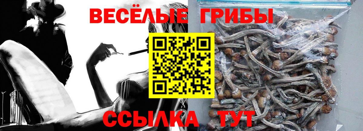 Полевской  Псилоцибиновые грибы Magic Shrooms  Вход с VPN 
