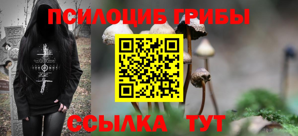 Псилоцибиновые грибы Magic Shrooms Полевской